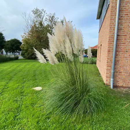 Haus Deichkieker By Interhome Ferienhaus